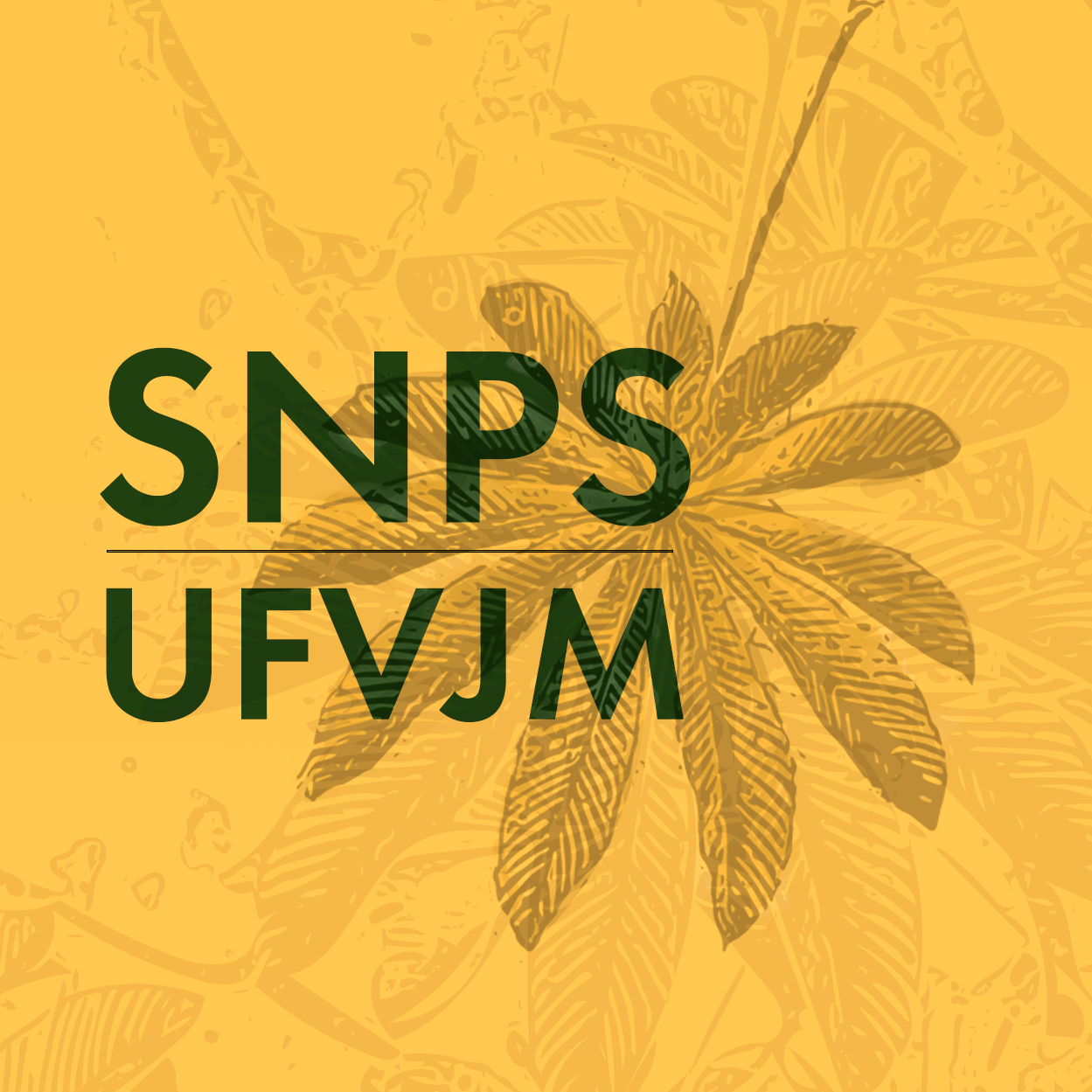 II Seminário Nacional de Políticas Sociais | UFVJM 2024